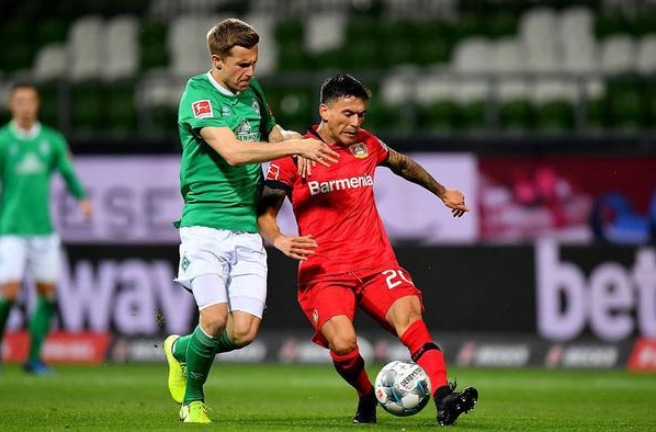 草区处理和 草区处理和